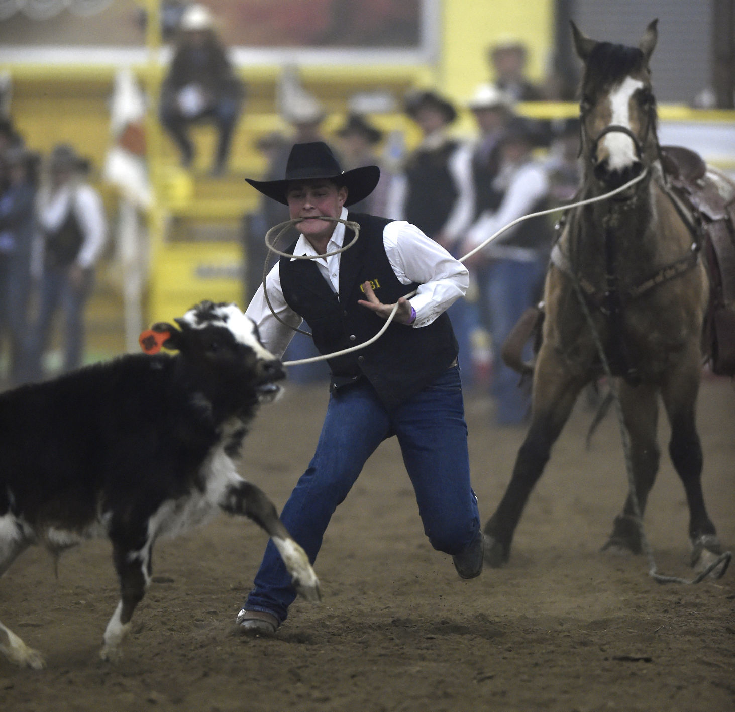 CSI Rodeo, 2018